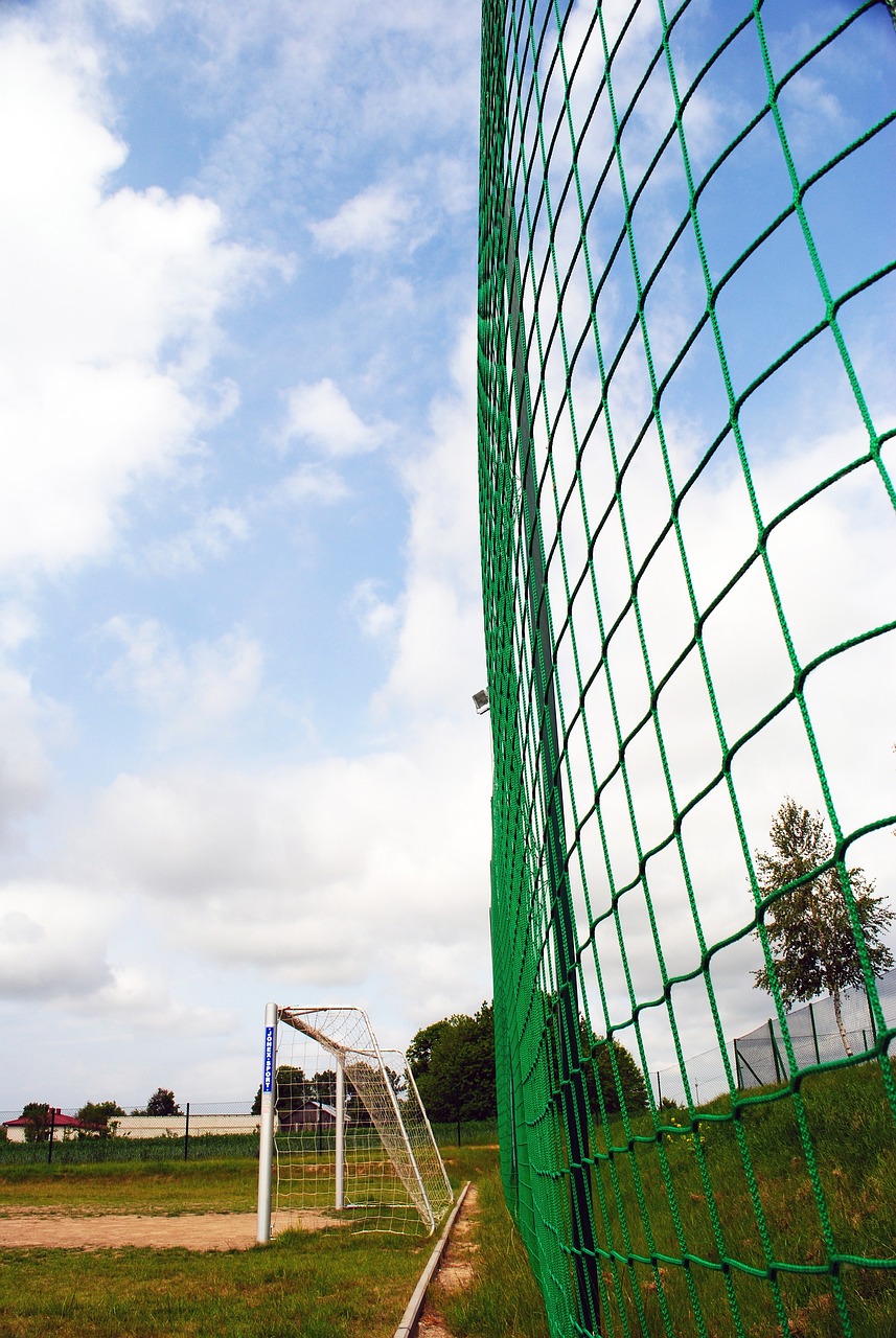 中国香港队两击制胜 广东队首回合失先机.