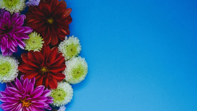 共同唱好新时代西部“双城记”——成渝地区双城经济圈建设5周年观察.